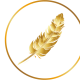 Icon golden feather